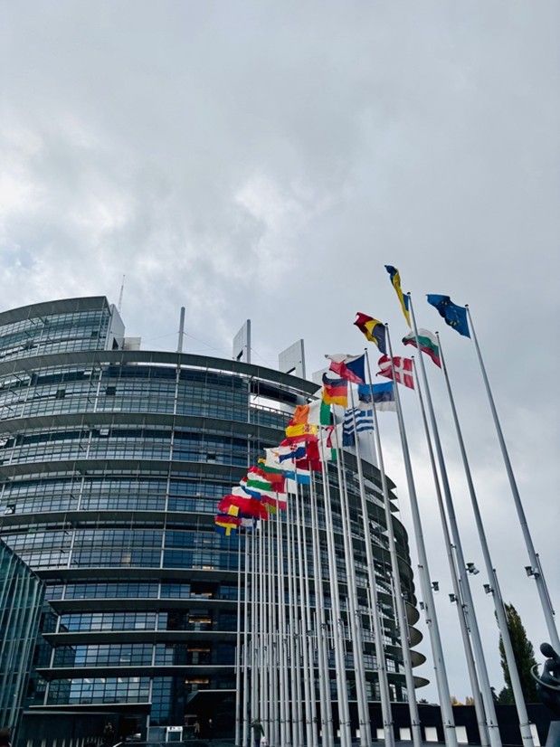 Straßburg Okt2025 3