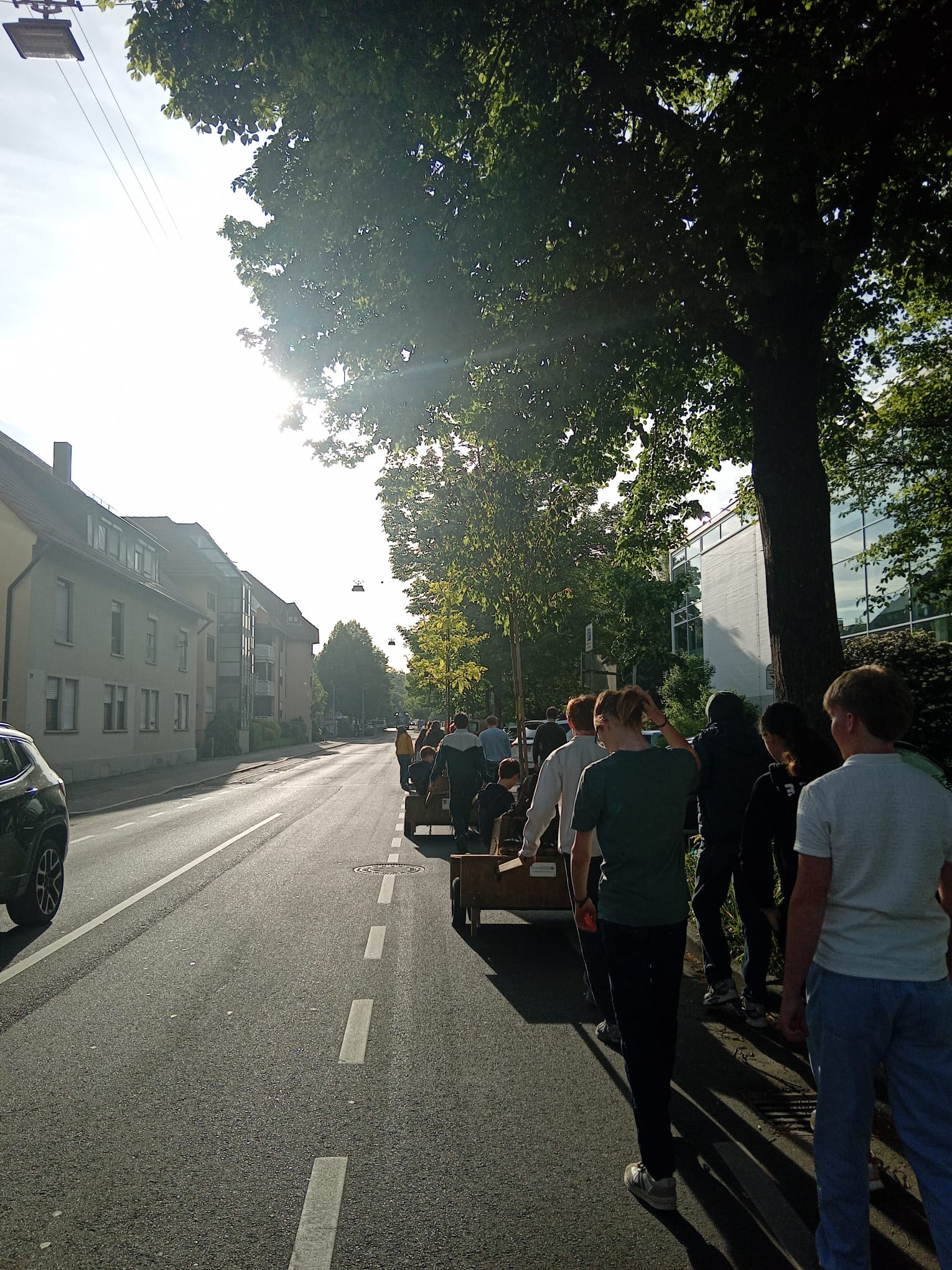 Wandernde Bildungbäume 1
